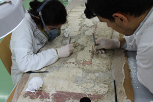 Matera, ISCR laboratories, Working on the frescoes fragments (Photo Credit: Sokol Muca, ISCR-Matera student